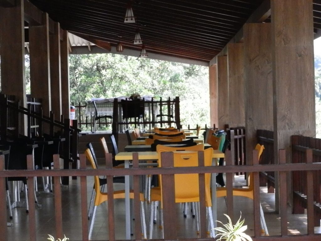 Exclusive New Developments for Rent!