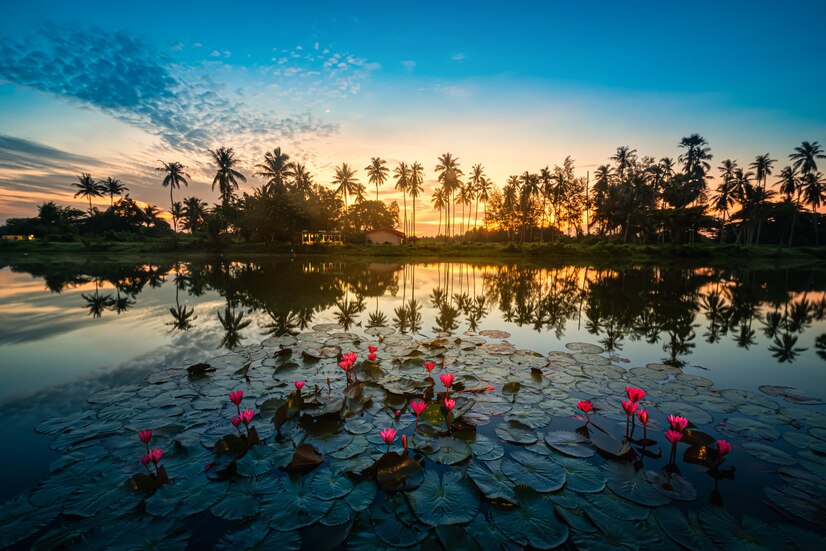Wondering Beautiful Garden